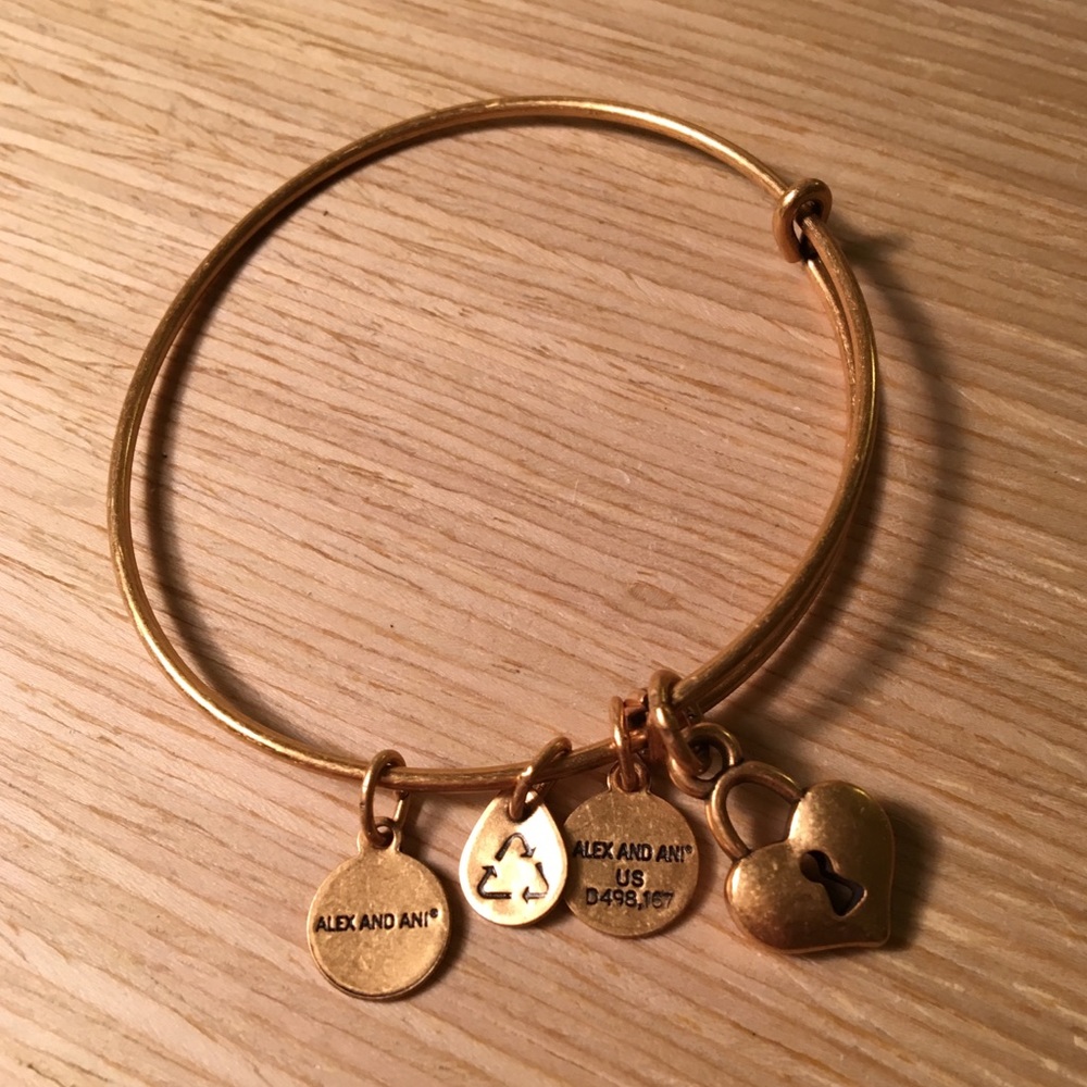 Alex & Ani Adjustable Bangle